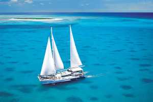 Michaelmas Cay Cruise with Ocean Spirit - Cairns