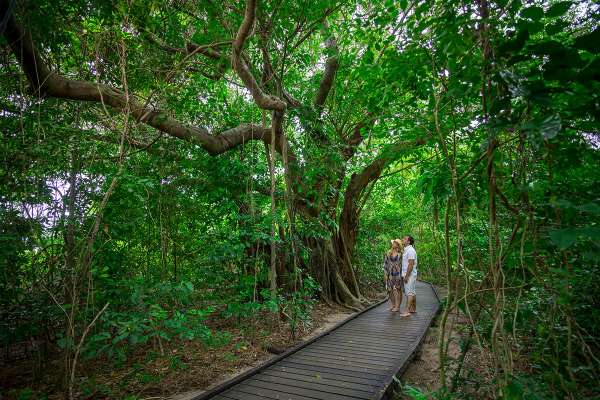 Green Island Day Trips - Cairns