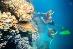 Green Island Full or Half Day Trips - Cairns