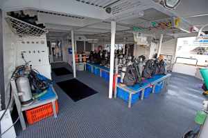 Dive Deck, Aft