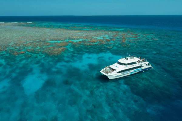 Silverswift Dive & Snorkel Adventure - Cairns