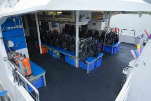 Dive Deck