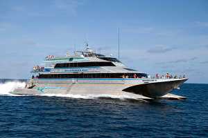Quicksilver VIII - Port Douglas